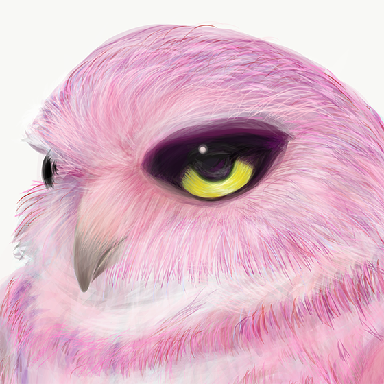 Ms. Owl