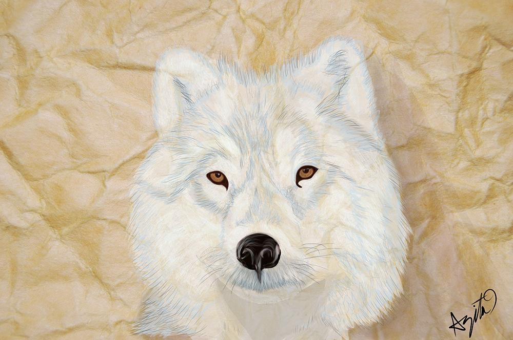 Wolf My