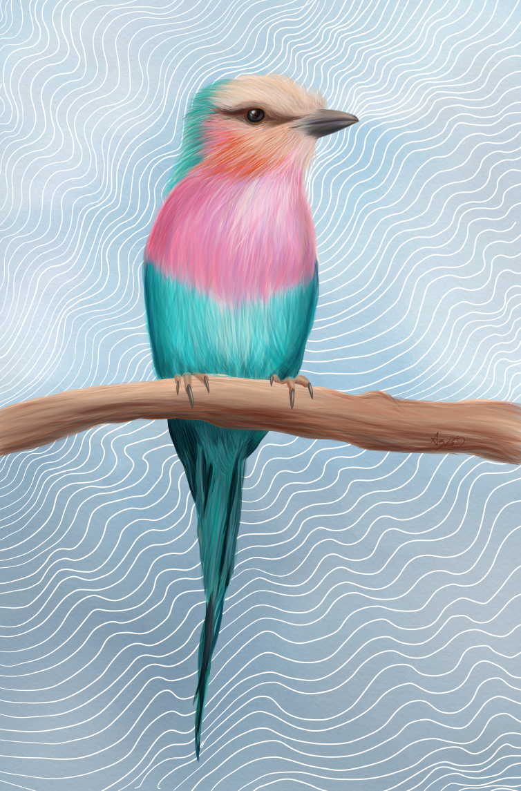 Lilac Breasted Roller2a